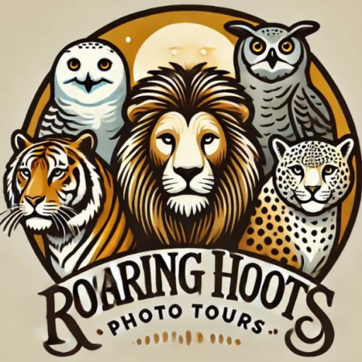 Roaringhoots Wildlife Photography Tours